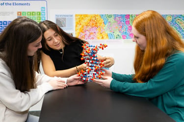 DNA Helix