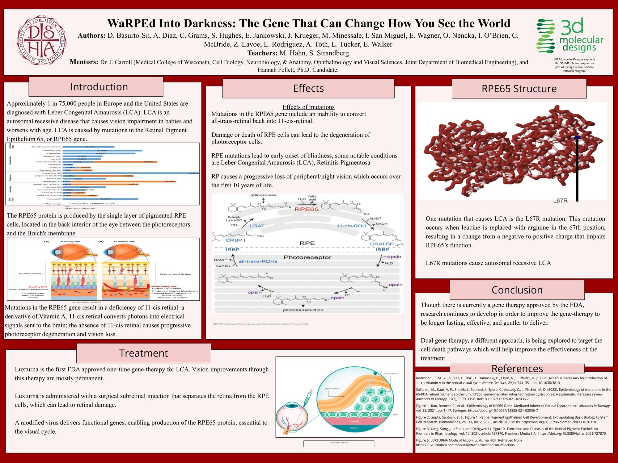 2026 RPE65 Poster