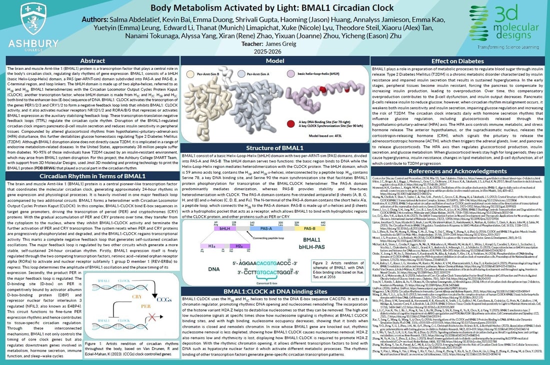 ashbury bmal1 poster