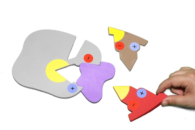 3DMDEnzymesinActionKit1