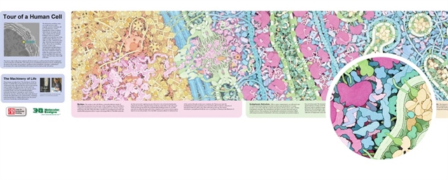 3DMDGrandPanorama1