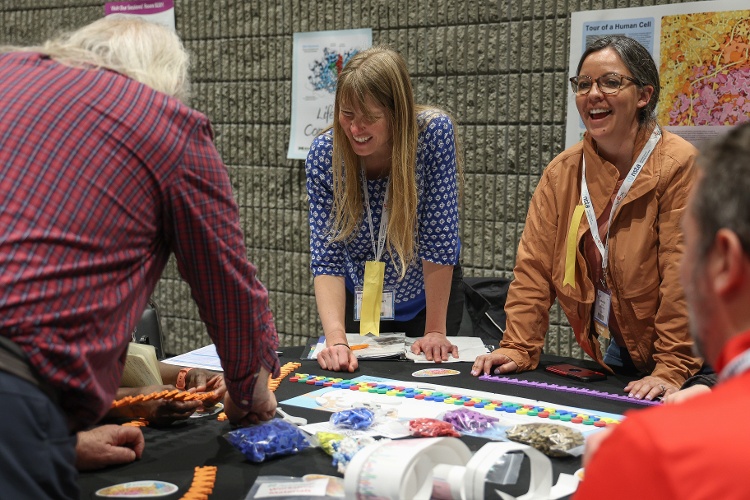 3D Molecular Designs' Session