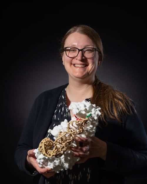 Amy Zientek Headshot
