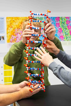DNA Modeling with Hands