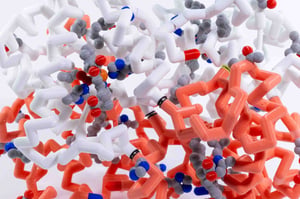 Hemoglobin_Model (1 of 1)