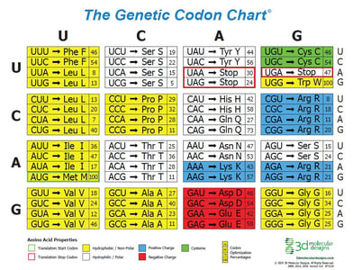 Codon chart thumbnail