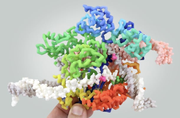 CRISPR
