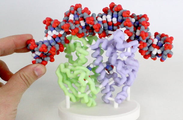 DNA/RNA