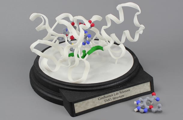 Receptors