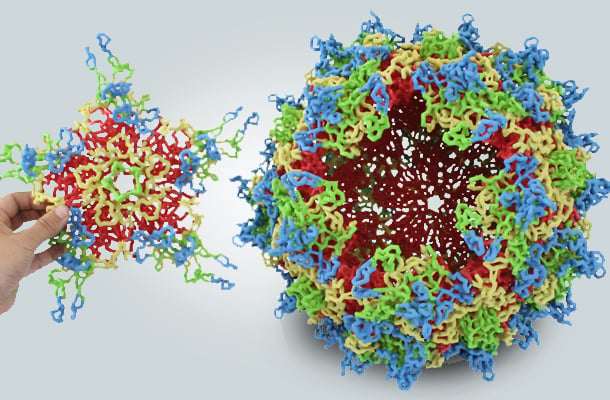 Viruses