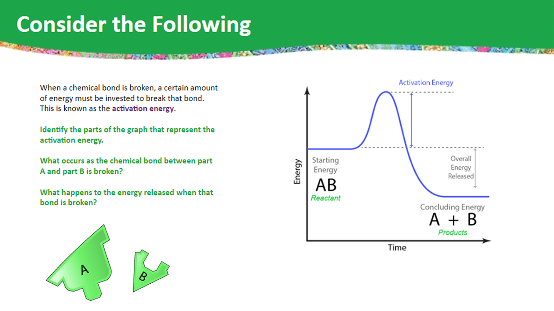 Catabolic_1