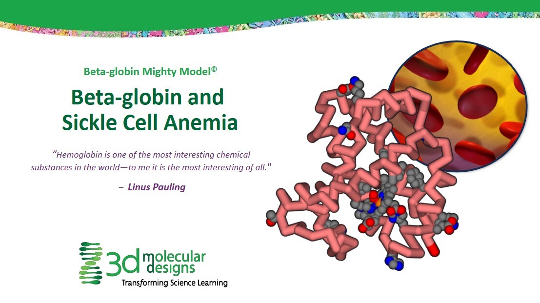 betaglobin screenshot