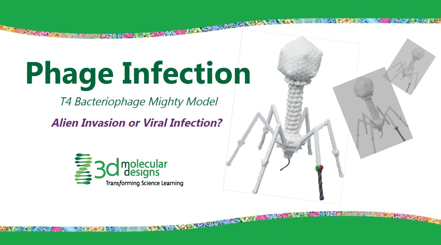 phage infection producrt image