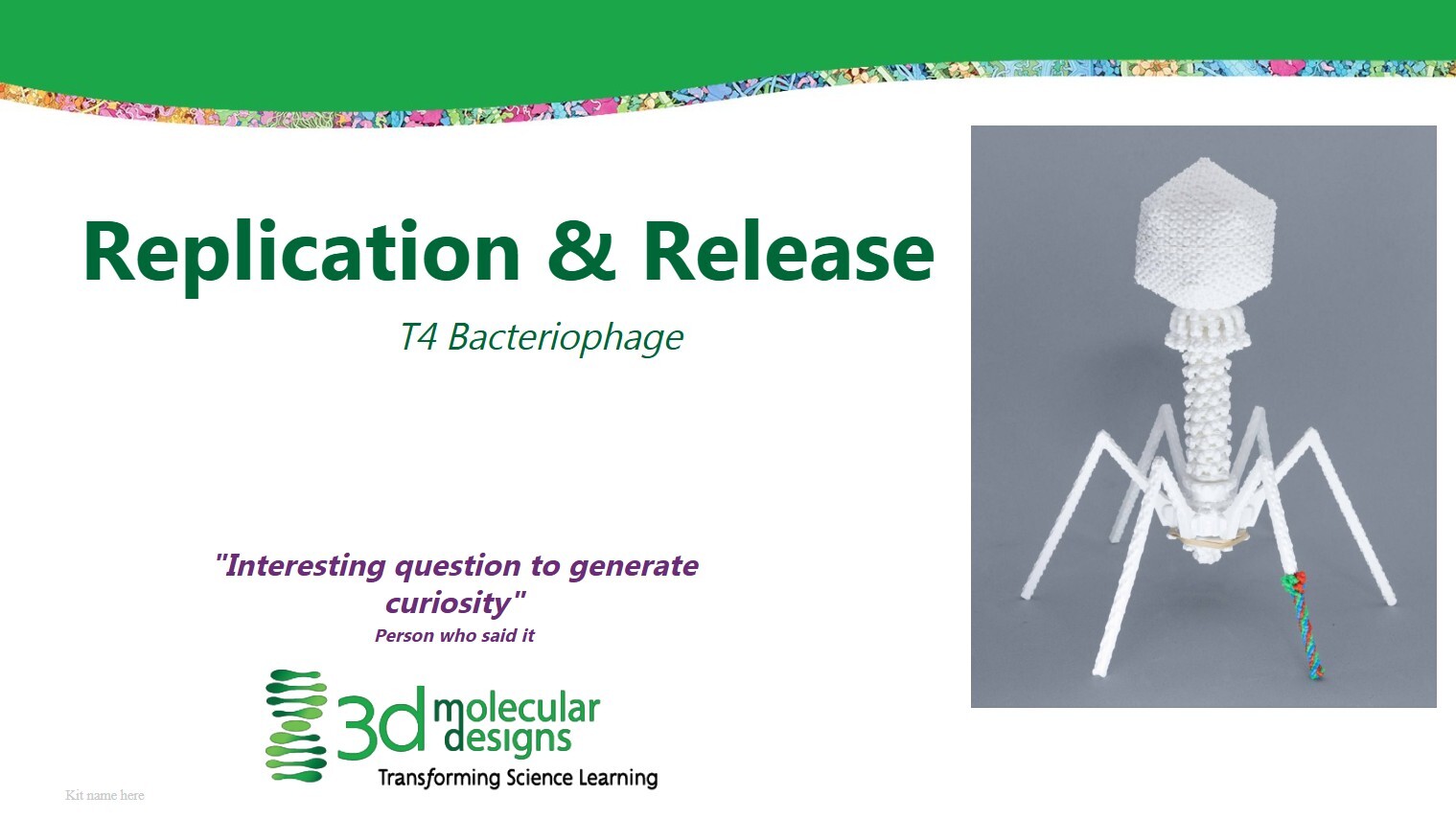 phage replication product image
