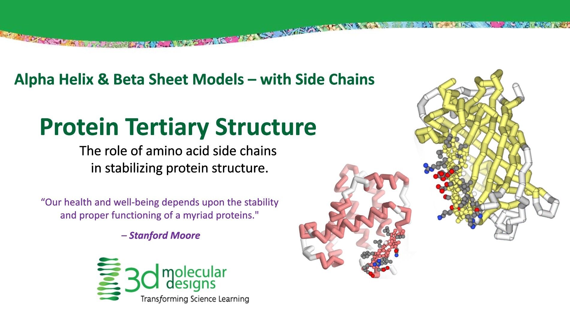 protein tertiary structure picture