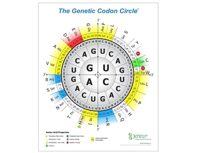 Genetic Codon Circle_2024_FINAL web