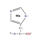 Histidine Formula_r1