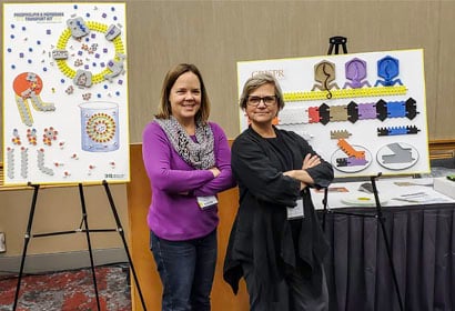 Model Teachers