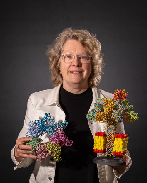 Linda Carlson Headshot