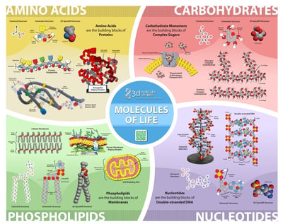 MOL Poster