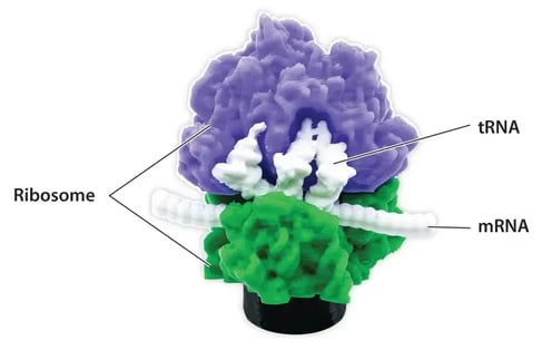 Ribosome Giveaway graphic-1