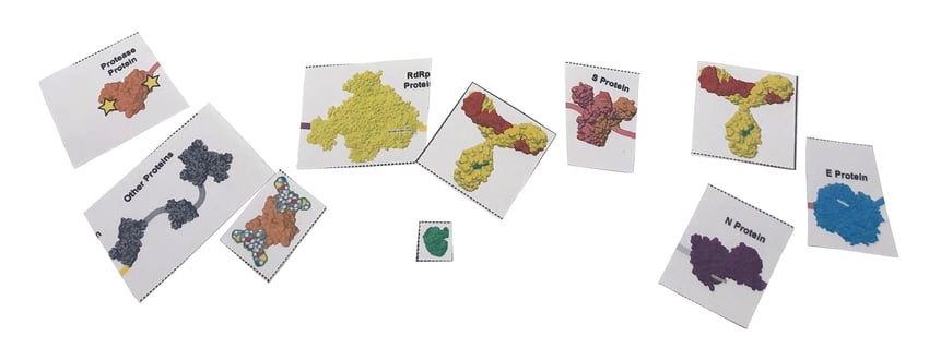 Building Antibodies and Antiviral Drugs