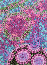 Molecular Landscapes by David S. Goodsell - Coronavirus Life Cycle