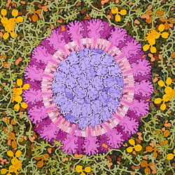 Molecular Landscapes by David S. Goodsell