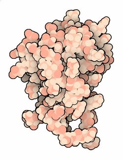 Nonstructural Protein
