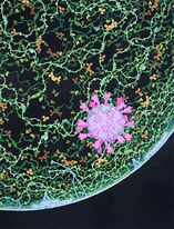 Respiratory Droplet Landscape