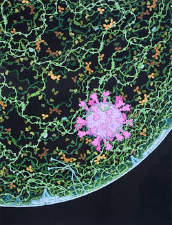 Respiratory Droplet Poster