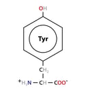 Tyrosine Formula_r1
