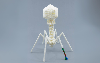 Untitled design-1
