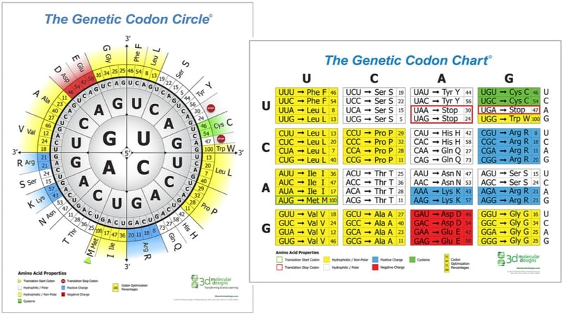 codon charts screenshot