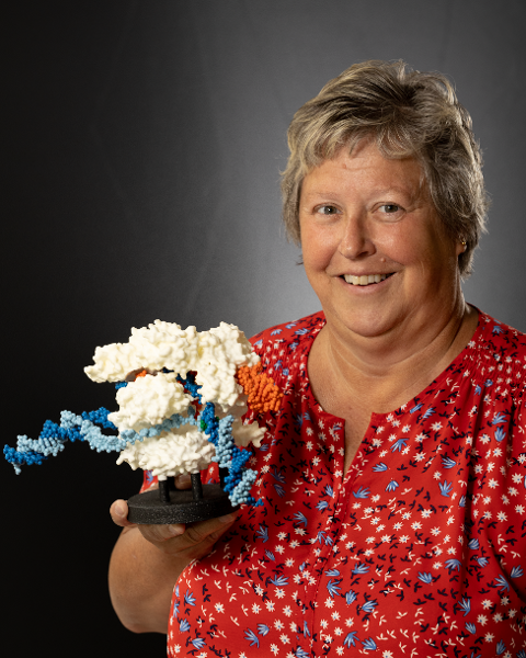 Kathy Vanderloop Headshot