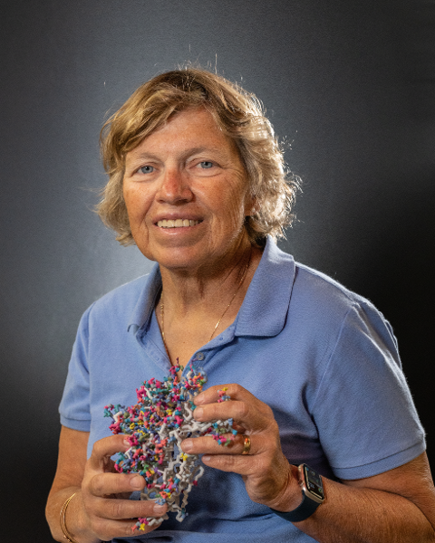 Terri Tessmann Headshot