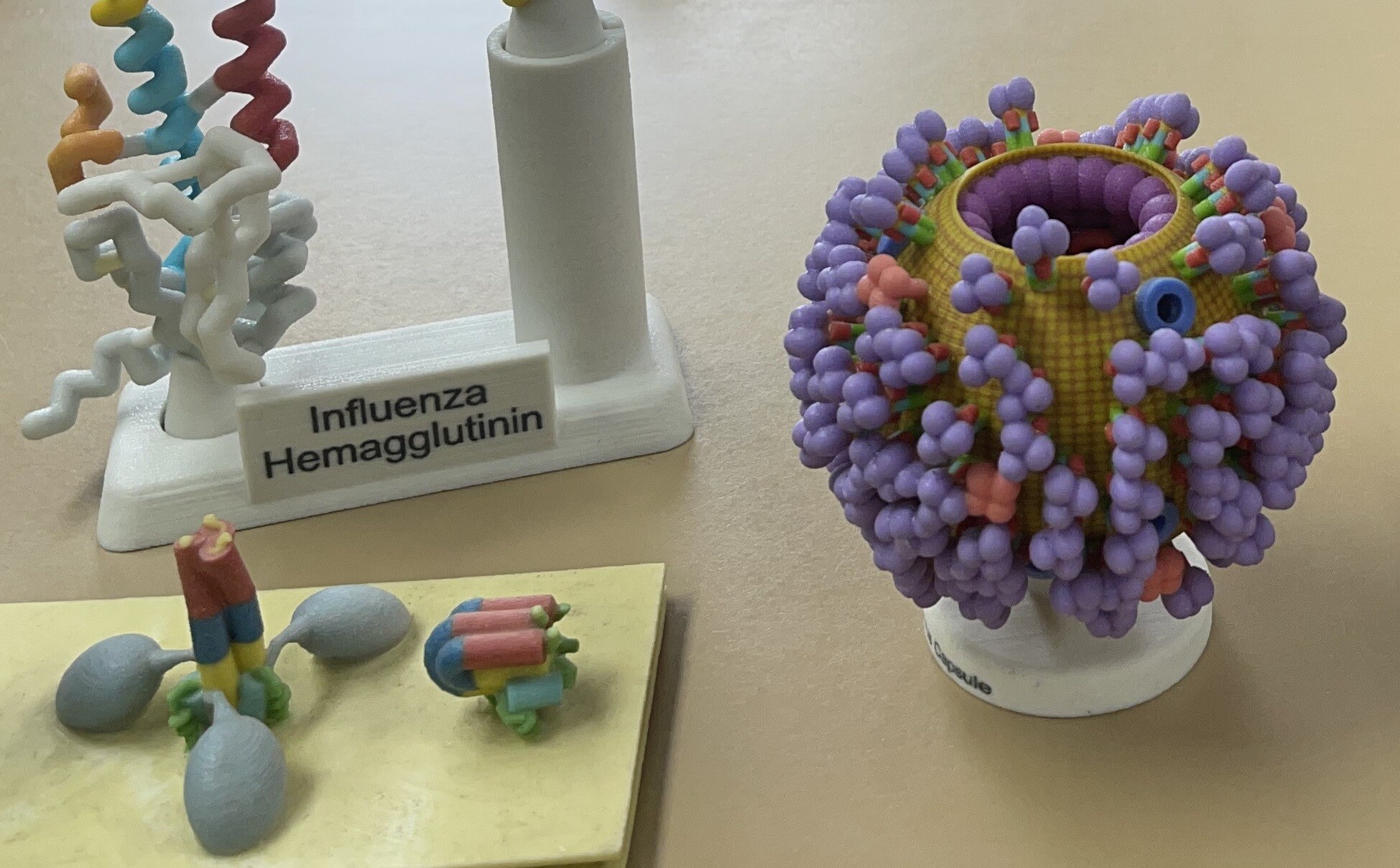 influenza collection
