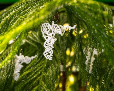 tRNA Ornament