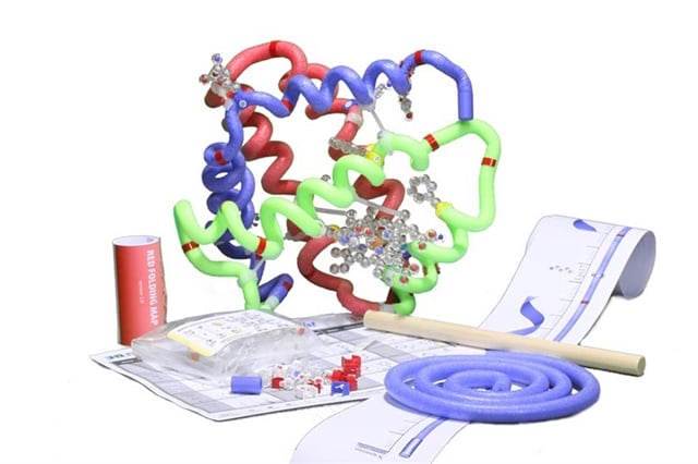 ß-Globin Folding Kit
