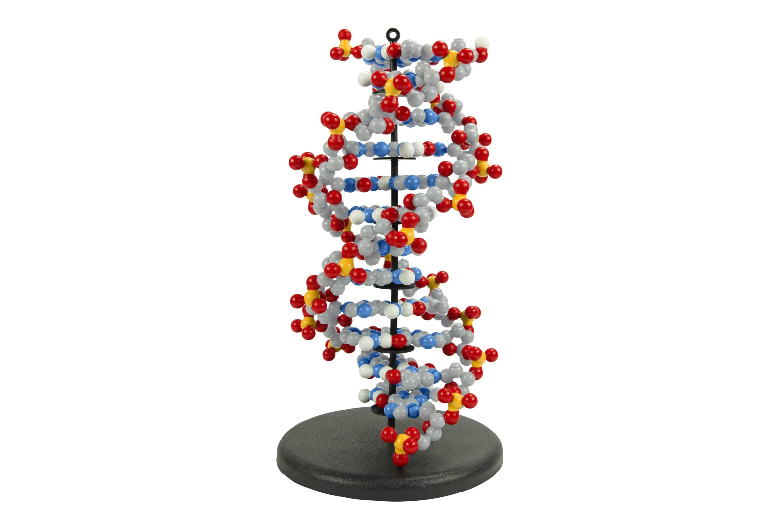 Dynamic DNA Kit